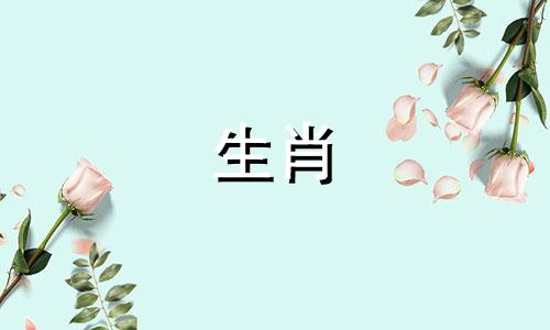 属龙亥年出生的男孩，性格比较冲动，事业运也不错。