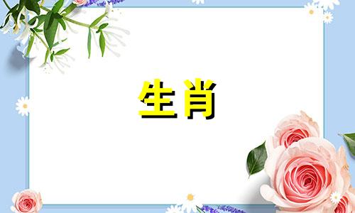 属兔的人一生运势如何?