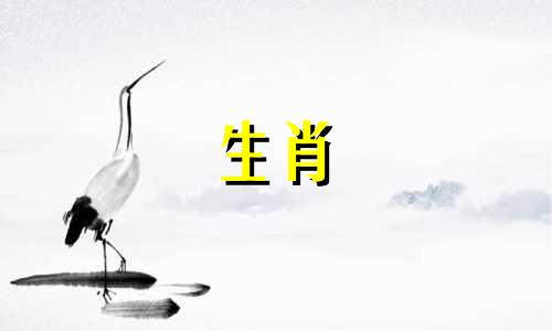 1987年出生的属兔女和1988年出生的属龙男结婚好吗？