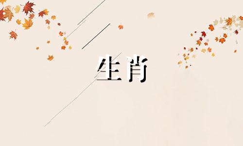 1972年出生的属鼠人一生婚姻不会顺利,1972年出生的属鼠人会再婚。