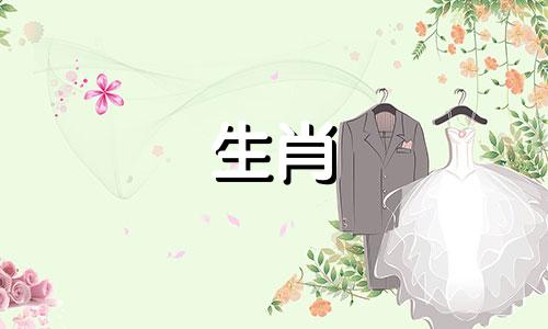 属猪人一生的运气和命运。属猪的命运如何？