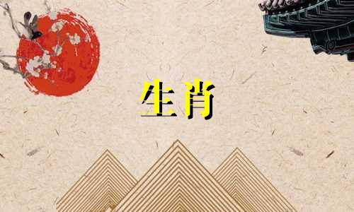 2022年最适合狗狗佩戴的配饰是什么？ 2022年哪些配件适合狗狗？