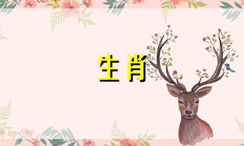 狗年出生的男人和猪年出生的女人适合做情侣吗?狗年出生的男人和猪年出生的女人的婚姻结果如何?