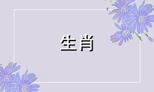 1972年,鼠年出生的幸运儿。属鼠人的一生中,有三位贵人。