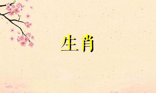 属猴和属猪的人配吗?属猪、属猴的人财运如何?