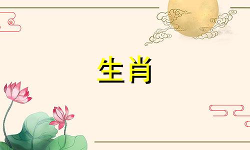 1982年属狗人的人生命运如何？ 1982年属狗人的运势如何？