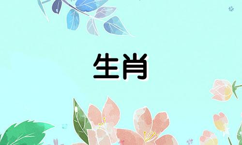 猪年出生的男孩好不好？