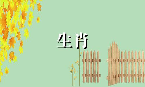 1982年狗年下半年运势。 1982年是狗年的后半生运势。