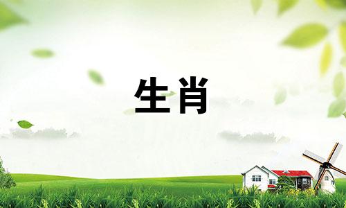 属猴和属猪相配吗？为什么属猴的人要远离属猪的人呢？