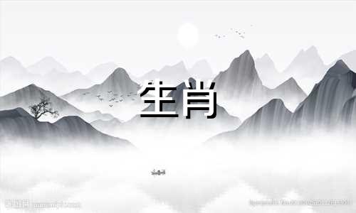 属虎人的运势如何?属虎的人会和哪些人有好运呢?