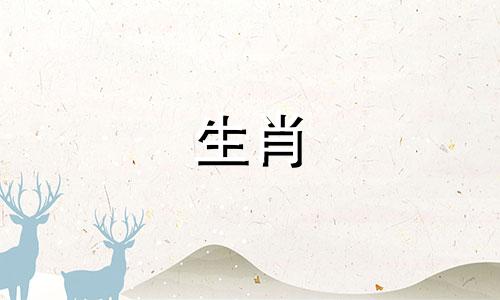 2022年属狗人和属猪人适合在一起吗?