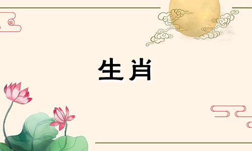 属龙最忌讳的生肖,对待它要小心