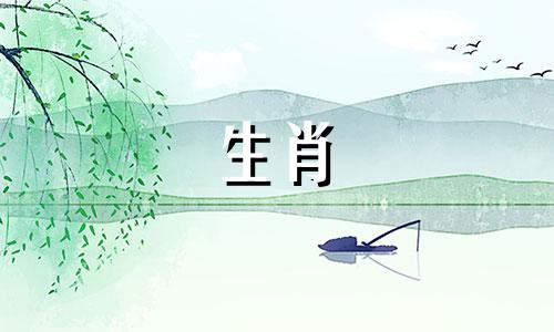 1978年属马人穿什么才能带来好运？ 1978年属马人穿什么才能带来好运？