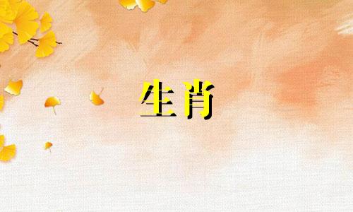 属龙人2022年运势及每月运势。十二生肖属龙2022年全年运势完整版。