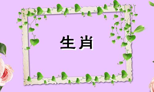 属猪人2022年运势详解。猪年 2022 年星座运势的完整版本。