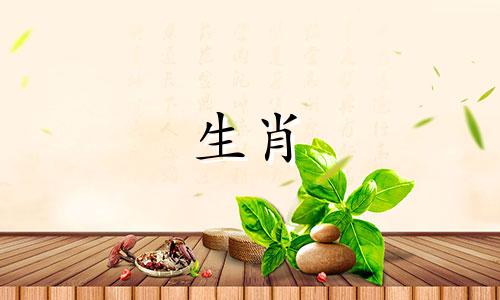 1976年属龙年出生的女孩适合做什么生意？属龙年出生的女孩适合做什么职业？