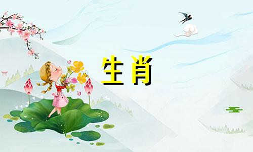 1996年生肖鼠婚姻适合度 1996年生肖男表弟婚姻适合度