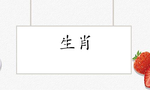 1996年出生的属鼠和1999年出生的兔子结婚怎么样？ 1996年属鼠的人和99年属兔的人结婚怎么样？