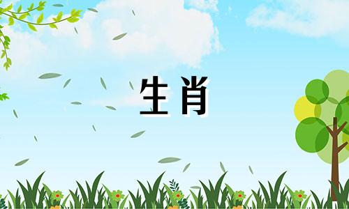 1974年出生的属虎女孩有外遇。 1974年出生的属虎女孩容易出轨吗？