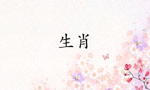 2022年是猪年,如何解决太岁问题。 2022年属猪人的运势如何?