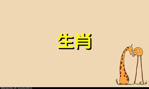 鼠年出生的人的一生运势和命运