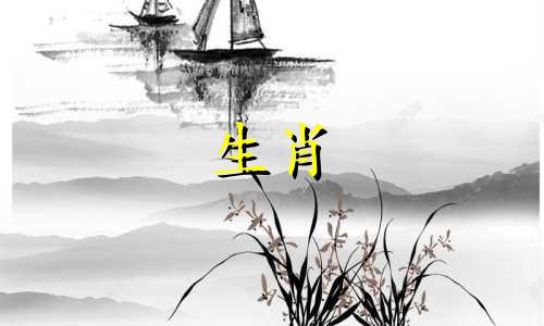 属鼠人的一生运气和命运。详细解读属鼠人的一生运势。