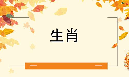 男人和狗最适合结婚的生肖,狗男人喜欢的女人生肖