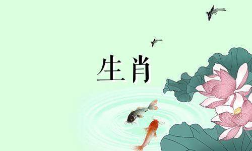 属虎和属牛相配吗？属牛和属虎的情侣可以结婚吗？