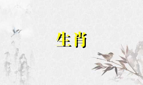 72年鼠，49岁，三年好运