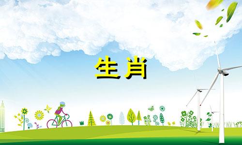 2022年，属牛的人五行和谐，晚年幸福。