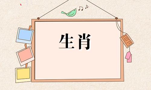 生肖属龙一生运势及财富有望成为百万富翁