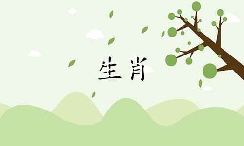 82年出生的属狗人哪一年会有好运? 82年出生的人几岁有好运?