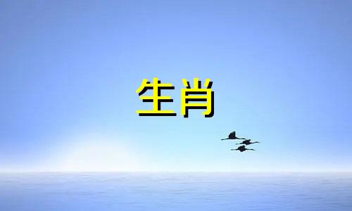 属鼠人2022年的运势如何？天时、地利、人和，是发展的最佳时机。
