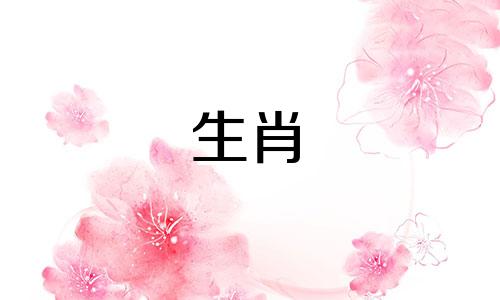 1996年出生的人今年几岁了？他们的实际年龄分别是26岁和25岁。