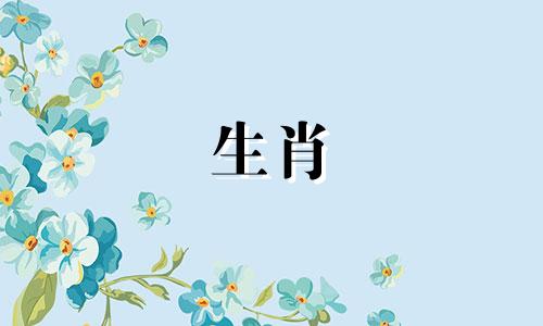 属鼠的人最适合和什么样的人合作？属猴有很高的信任度。