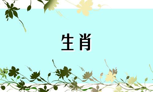 狗男和虎女能走一辈子吗?狗男与虎女的婚姻