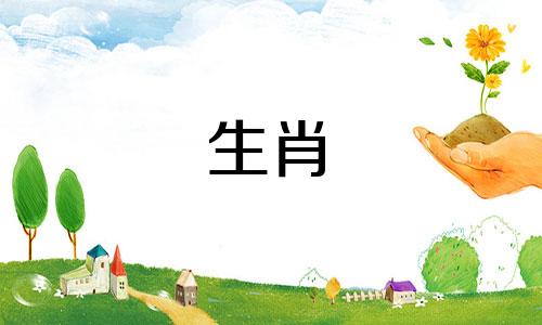 属羊人的一生命运如何?看看属羊人一生的运势