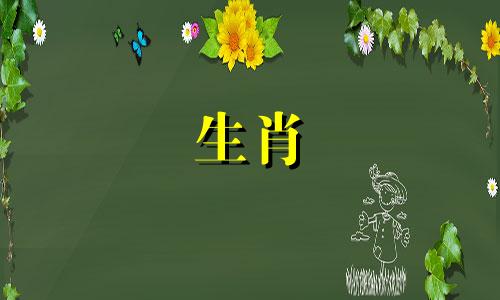 属蛇的生肖与哪些生肖最配?属蛇的人最适合什么生肖?