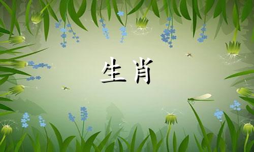 90马93鸡的婚姻,怎能生活顺利,偶尔也会有小矛盾呢?