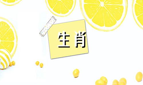 1983年属猪女的一生命运。 1983年属猪人的一生命运。