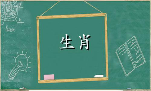 牛年出生的女孩子非常有能力,也很优秀。