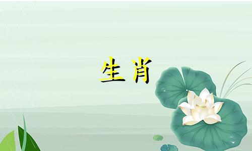 1984年属鼠女2022年运势如何? 1984年的属鼠女到了2022年会怎么样?