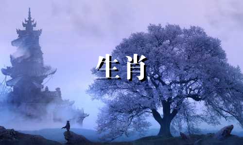 1986年,属虎人今年的运势是女性能获得财富和财富。