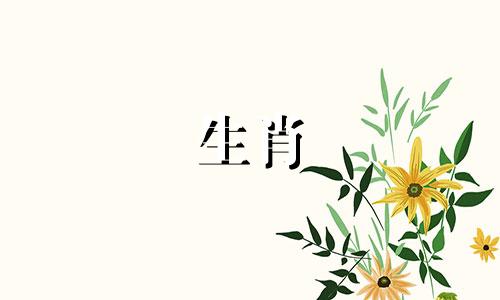 2022年属兔人的运势及运势