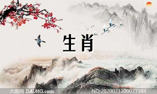 属虎人的一生财运应该是向着金钱和暴利。