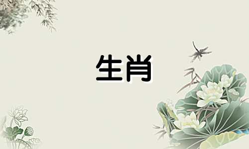 1992年猴年哪层楼最热门买房?哪个位置最好?