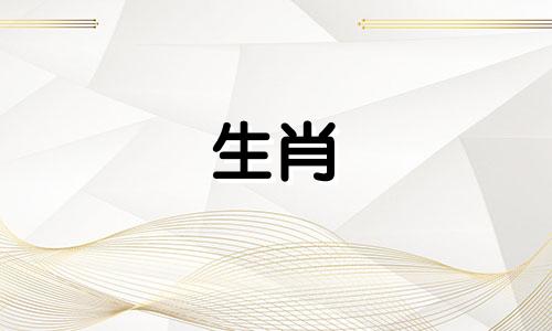 86虎适合做什么生意才能事业成功、生意兴隆呢?
