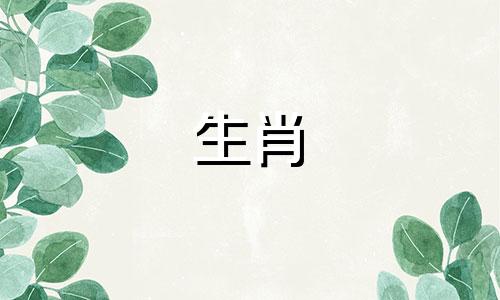 1996年，鼠年出生的女孩与属龙猴年出生的男孩结婚，幸福美满。