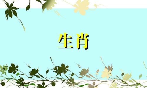 鼠年出生的男人对情妇有感情吗？图片只是暂时的新鲜感