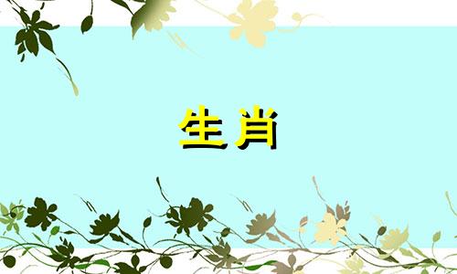 鼠年的人生活富足，在职场上很受欢迎。